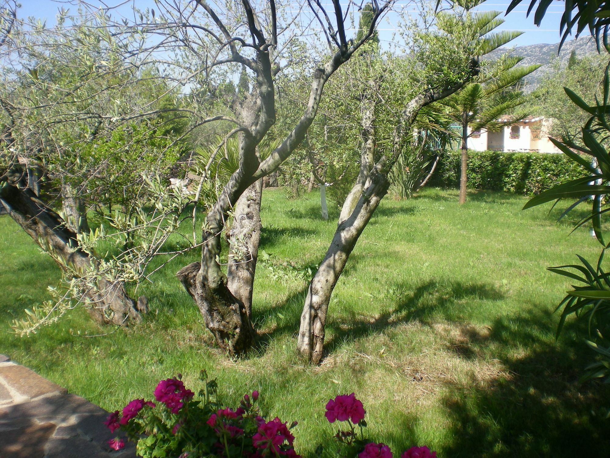 Residenza Marina Apartment Orosei Exterior photo